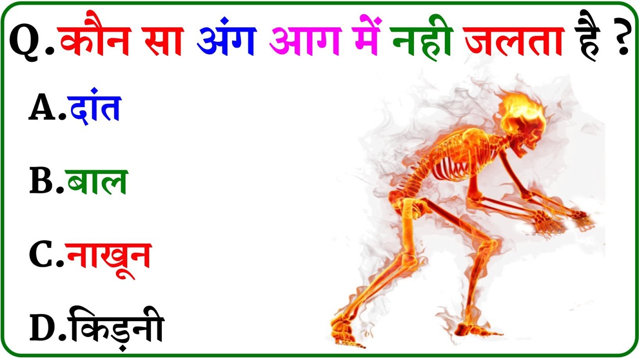 GK Question || GK In Hindi || GK Question and Answer || GK Quiz ||