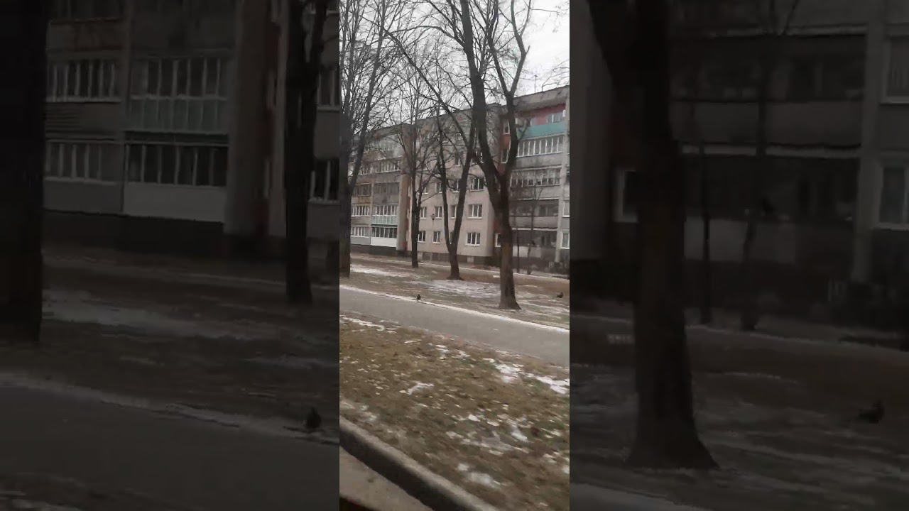 26.02.26🗿+1'☁️Брест Восточный ул.Скрипникова