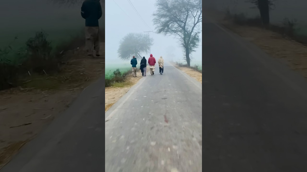 Village life Pakistan Punjab/ 