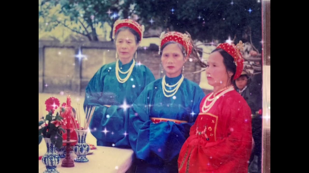 Bài hát 90 năm nhành mai cổ thụ