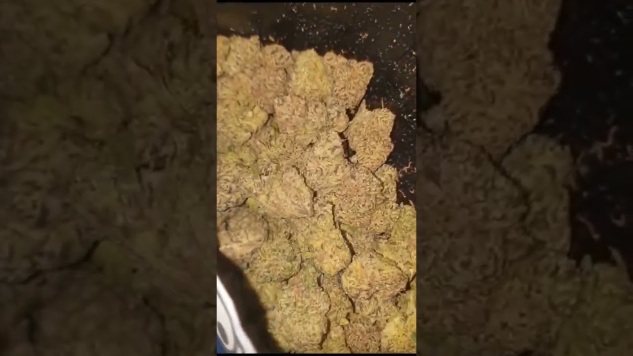 #bluenerds blue nerds #420 #hightimes #Ukstoners #aoner100