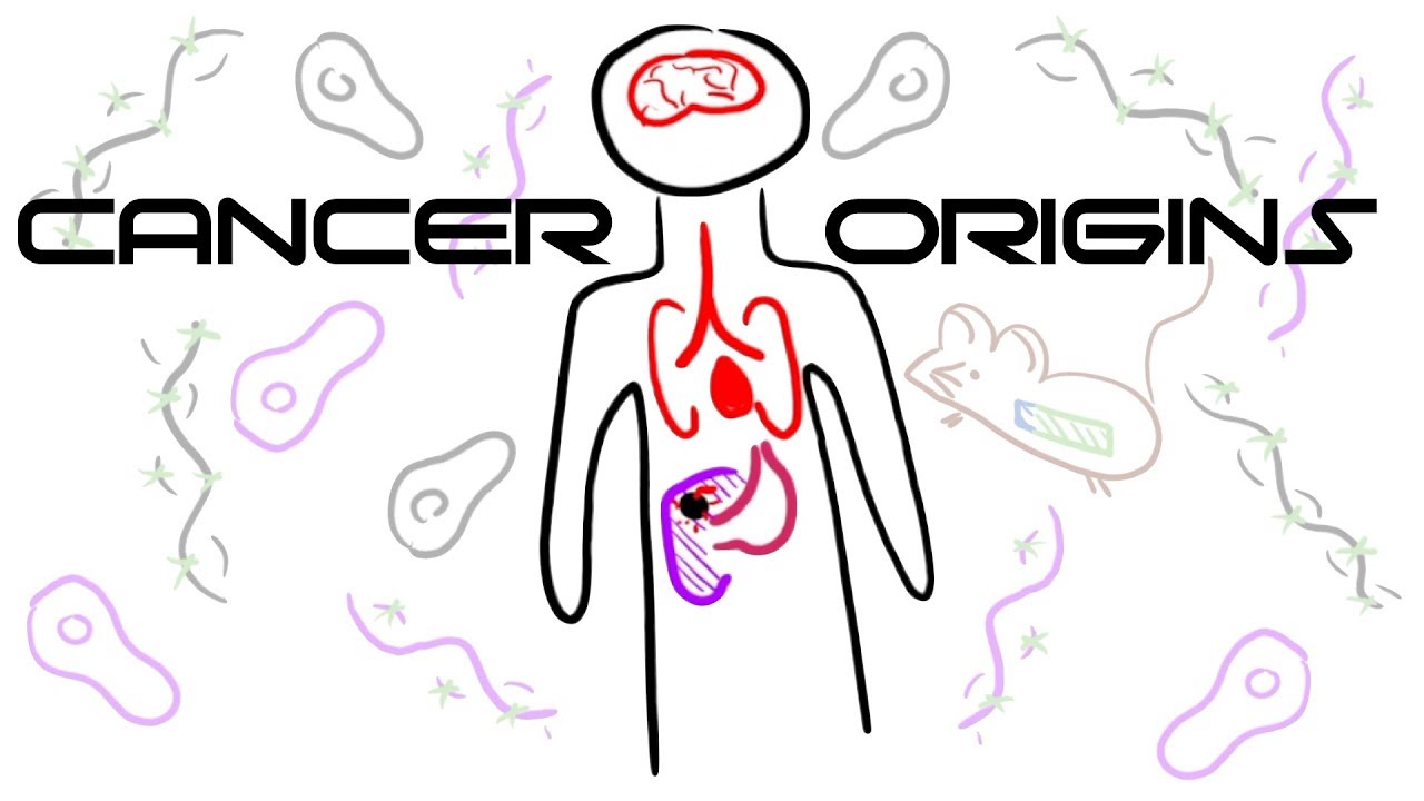 The Genetic Origins of Cancer
