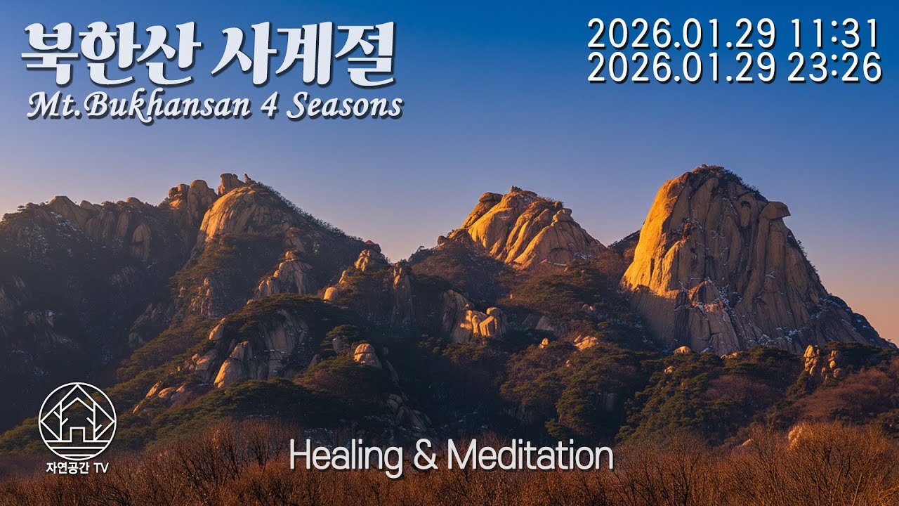 Natural Healing Meditation Sleep Relax Mt.Bukhansan 힐링 명상 수면 자연치유 아름다운 북한산의 사계절 26.01.29 (2)[자연공간TV]