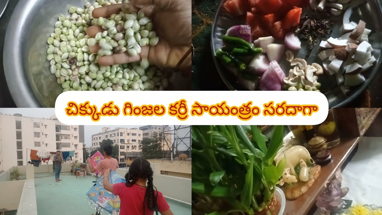 #daily vlog routine నవరాత్రుల్లో ఈసారి ఇలా