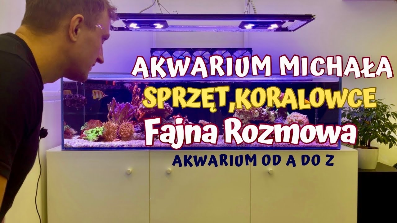 POZNAJ AKWARIUM MICHAŁA – SPRZĘT, KORALE I FAJNA ROZMOWA #akwariummorskie #akwarium 