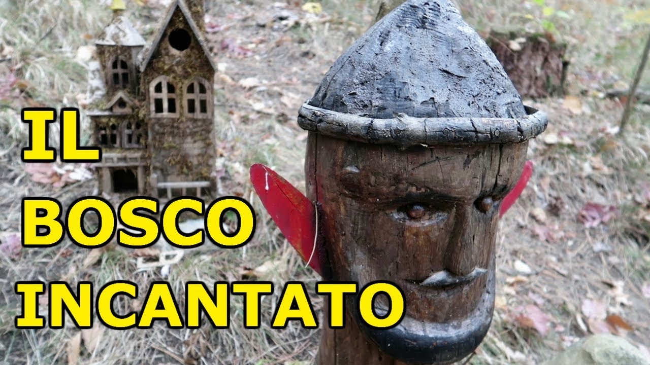 Il Bosco Incantato di Zavattarello - Pavia - Gite in Lombardia