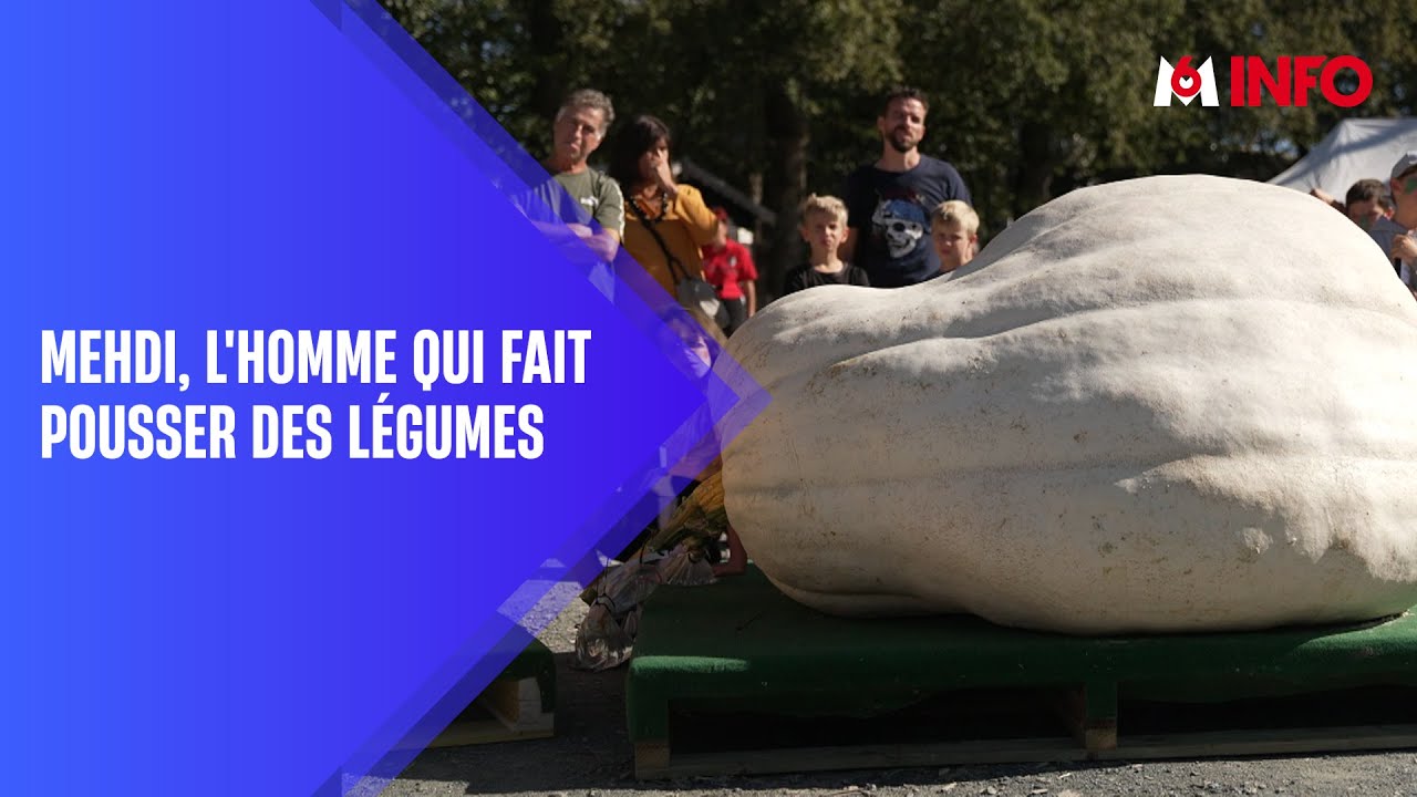 Marché de gros : Mehdi fait pousser des légumes géants