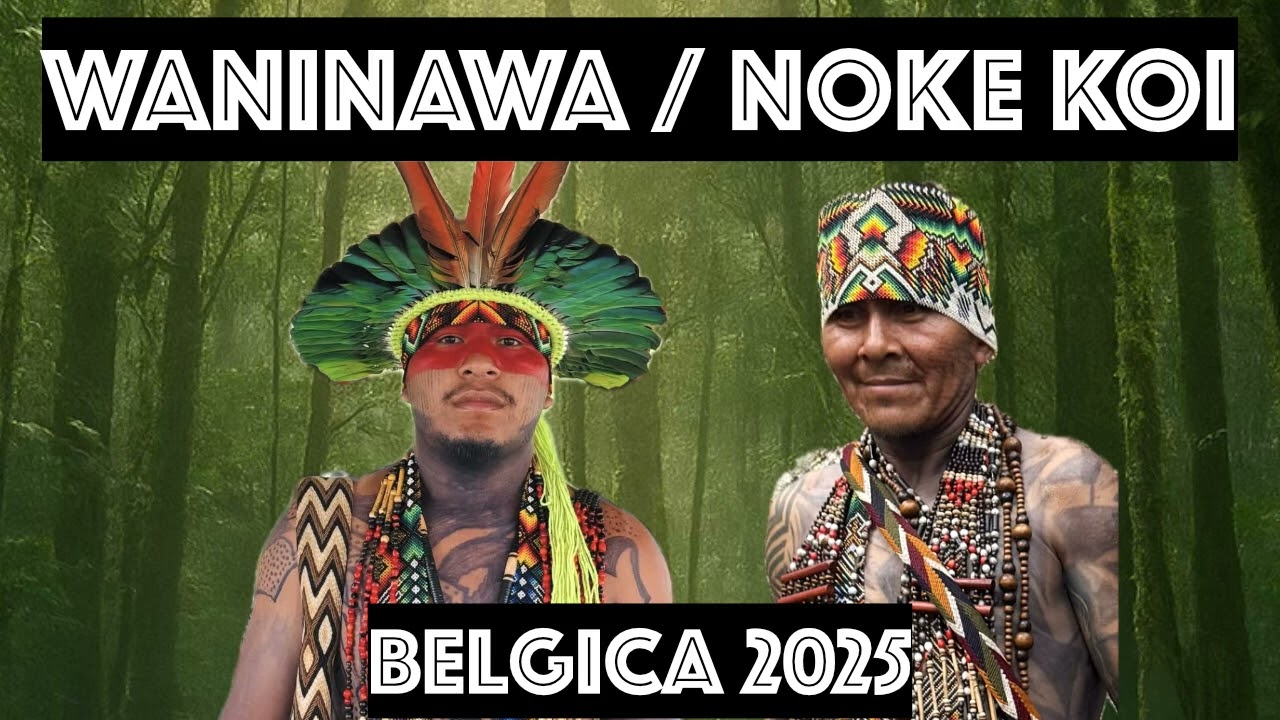 51 Yawa yawa yawa