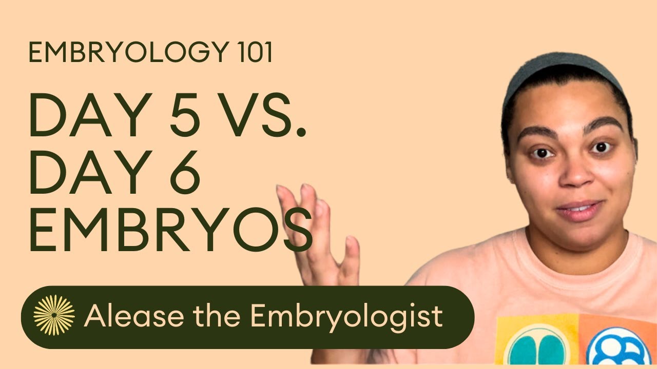 Embryo Grades and Success Rates | Day 5 vs Day 6 Embryos | Dandi Fertility