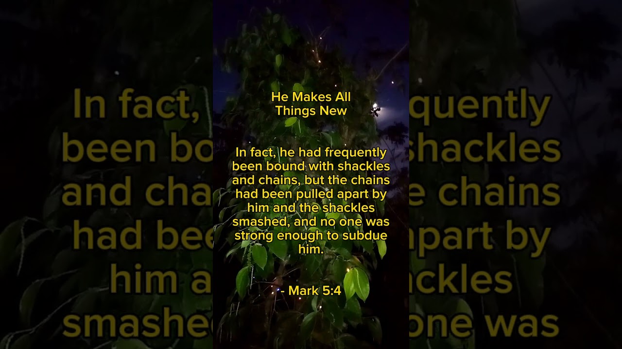 He makes all things new #biblereflections