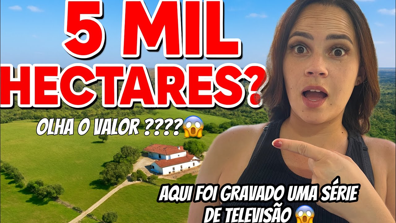 QUER COMPRAR  ESSA  PROPRIEDADE AQUI EM PORTUGAL , NUNCA mais vai querer sair daqui! 🇵🇹