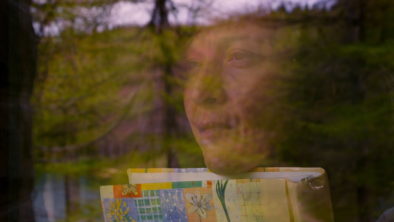 La Finestra sul Bosco - Short Film
