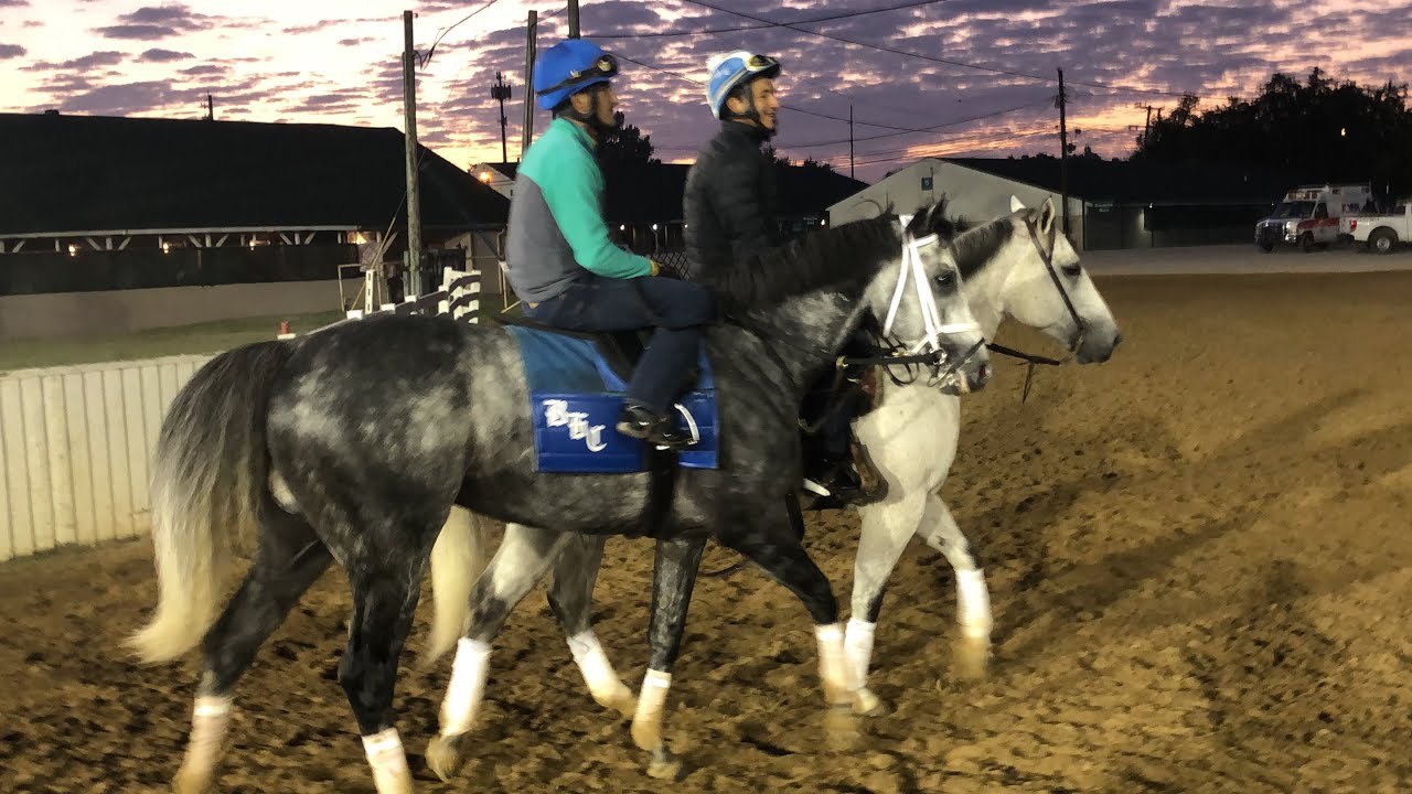 Knicks Go Training 10-23-21: Breeders' Cup Classic Preparations