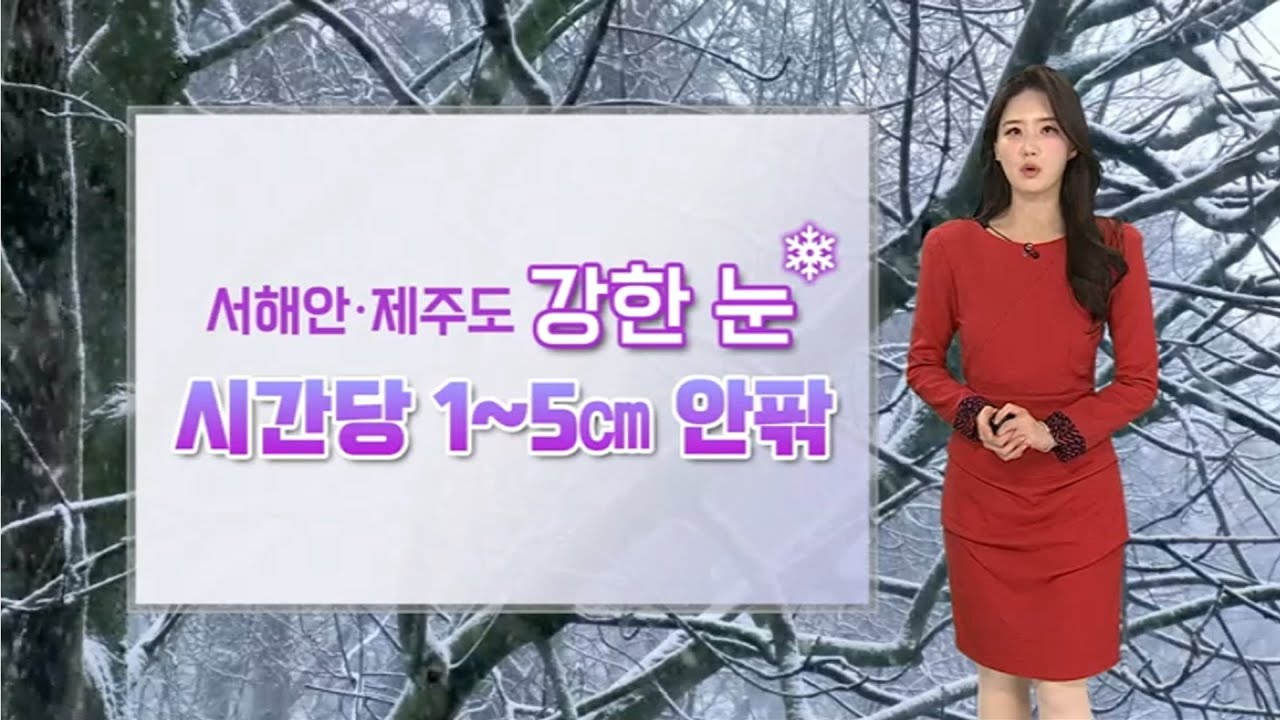 [날씨] 올 겨울 최강 한파…서해안·제주도 강한 눈 / 연합뉴스TV (YonhapnewsTV)