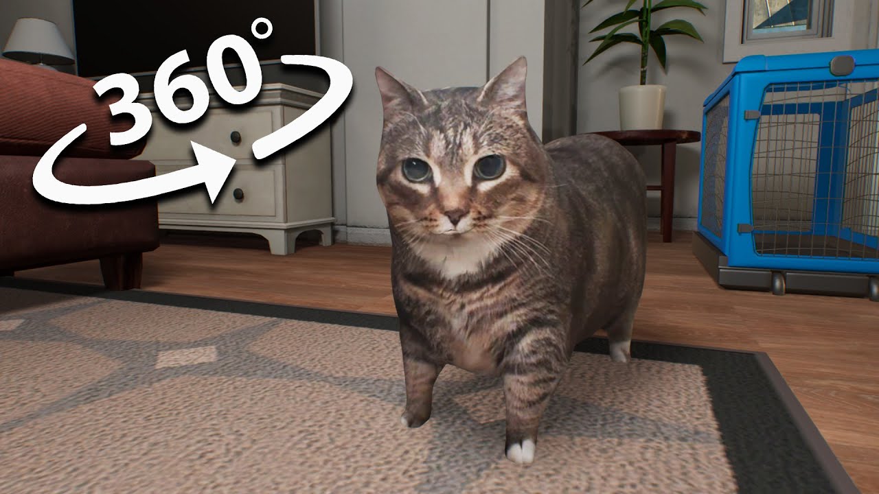 Подборка фильмов U II A IO UI A I O xCat! 360° VR