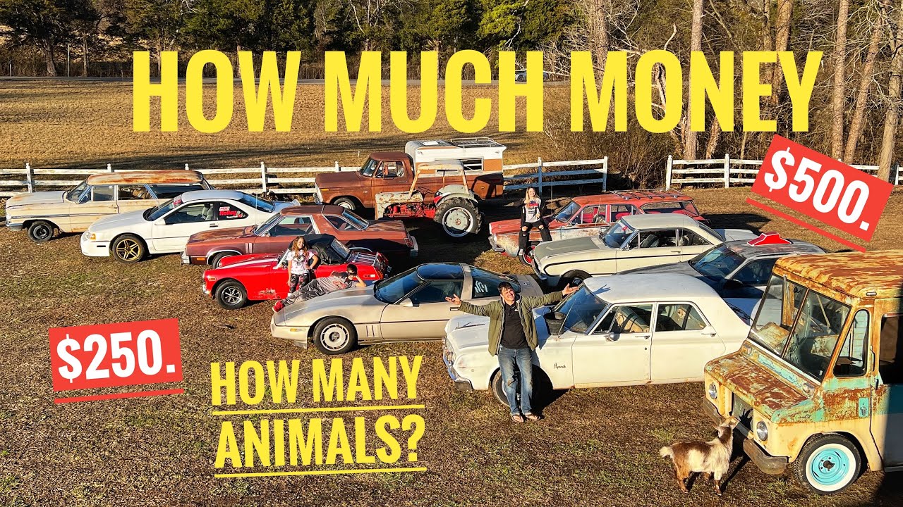 SLEEPERDUDE TELLS ALL! what's for sale, how much we paid, what we sold, how much money we made!