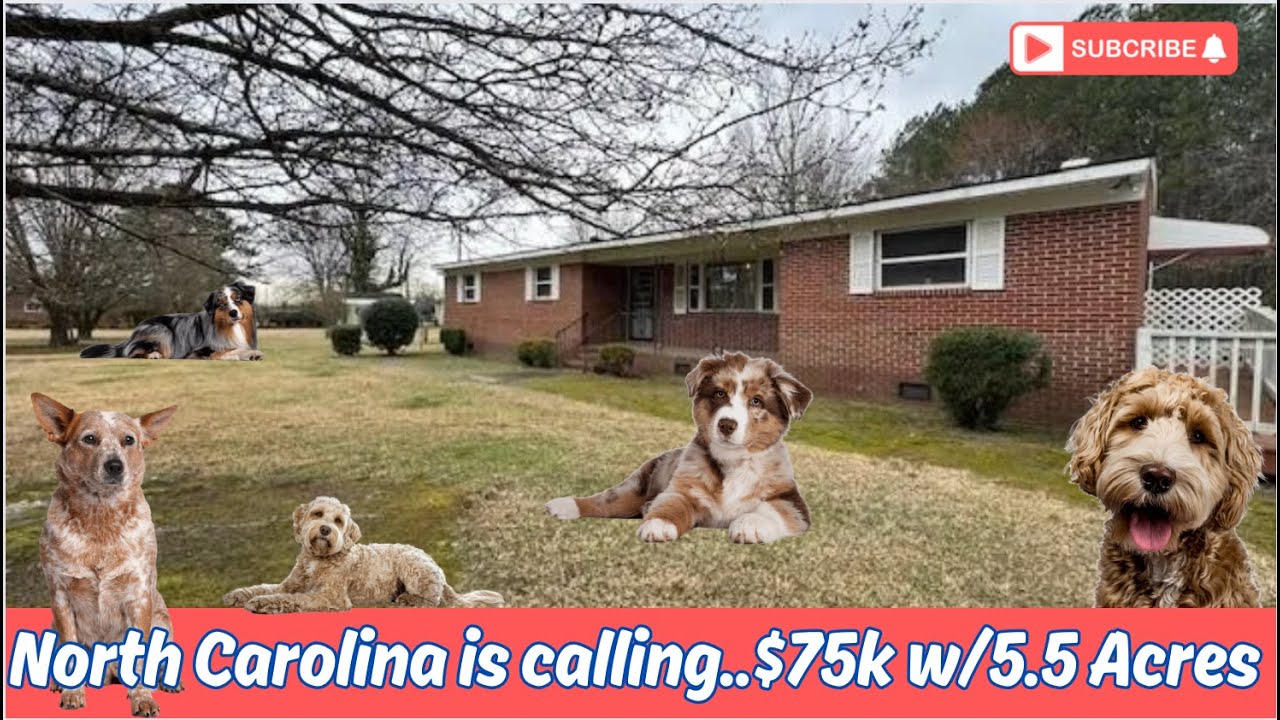 $75k North Carolina is calling w/5 acres “WOW”