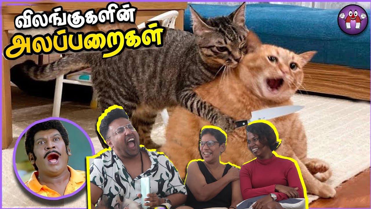 அலப்பறையான ANIMAL 😂|  Ramstk Family@themagnetfamily2.0