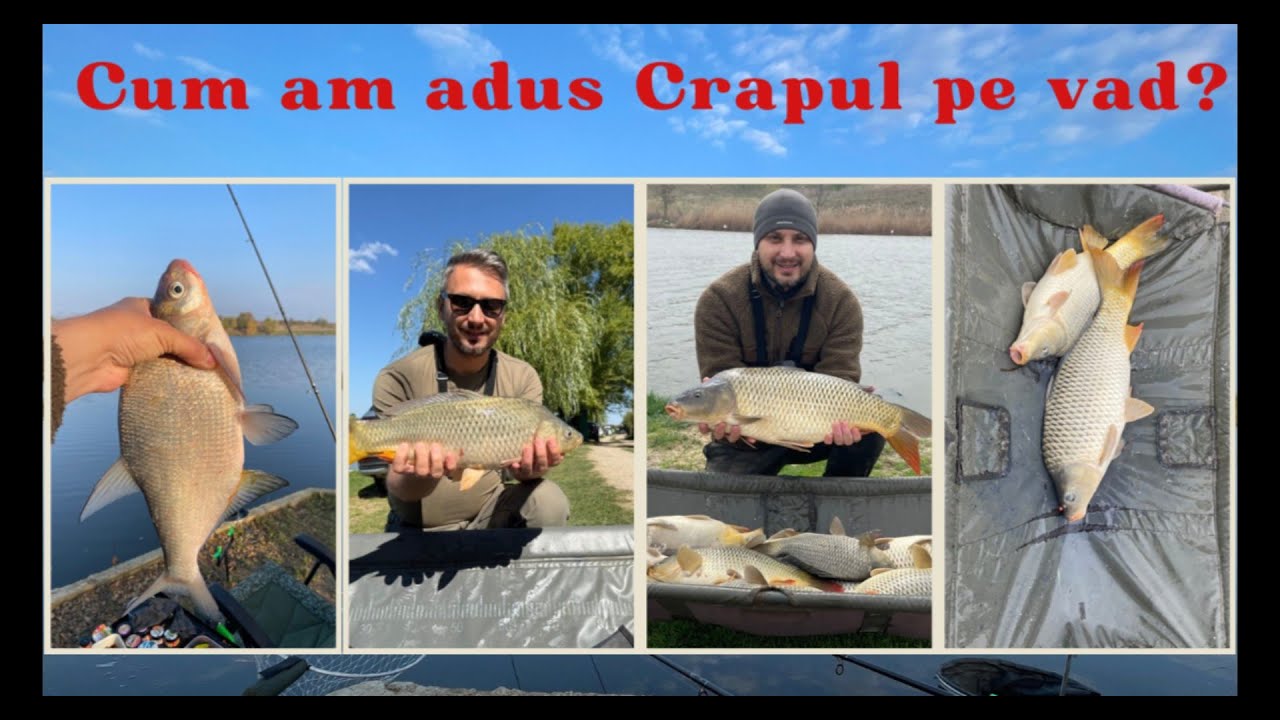 Pescuit la method ! Cum am adus CRAPUL pe vadul de plătici ! 17 oct 2025