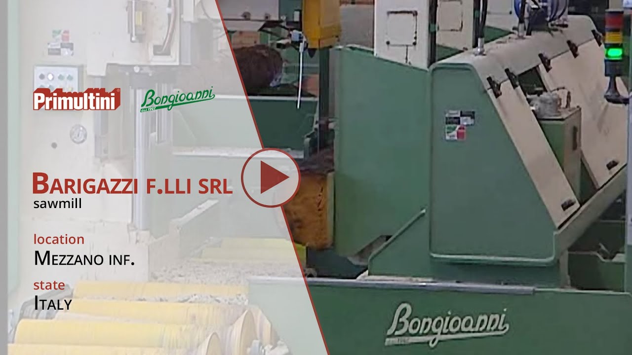 Sawmill Barigazzi - Primultini