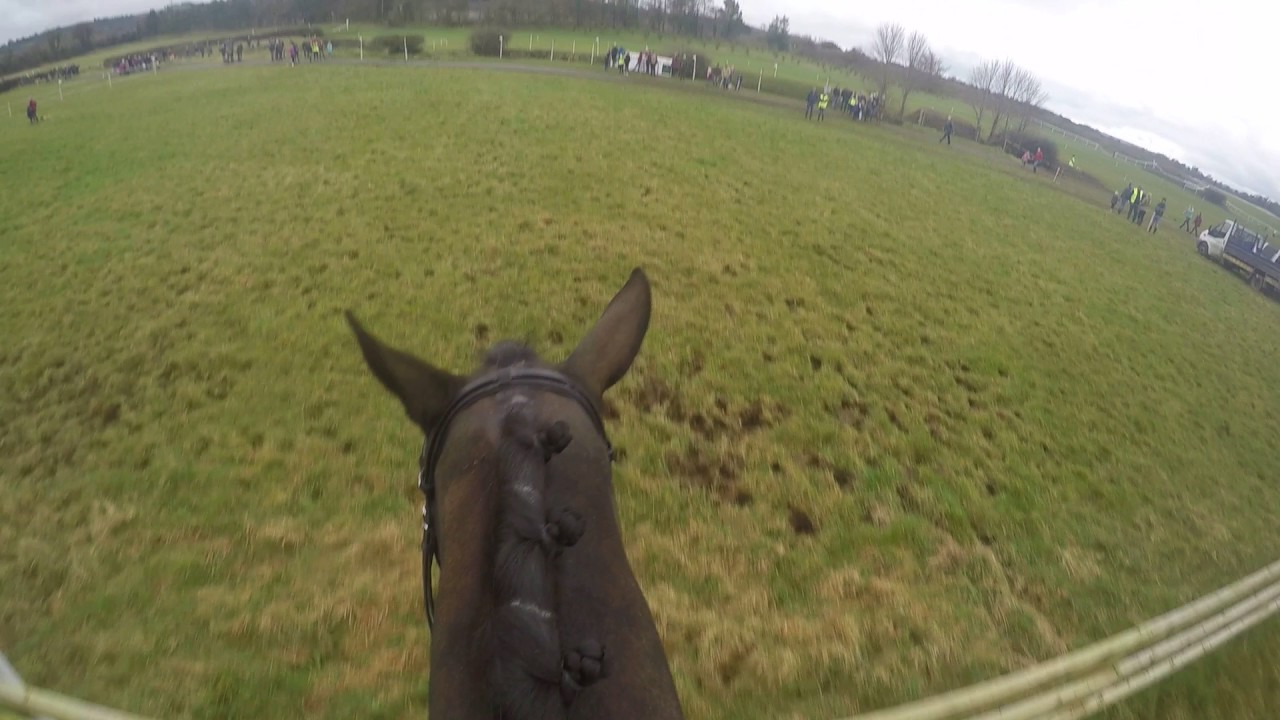 Cavalier Belfoire (North Kerry Harriers) @ Kildare Hunt Performance Hunter Show 2017