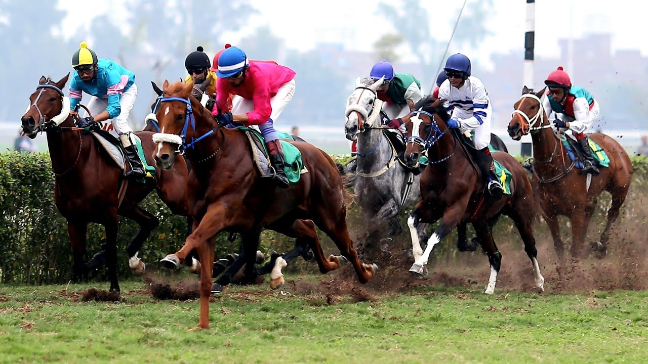 7th Race The Pakistan Derby 2022 Distance 2400 Meters Winner Purnoor ( Pakistan Horse Racing)