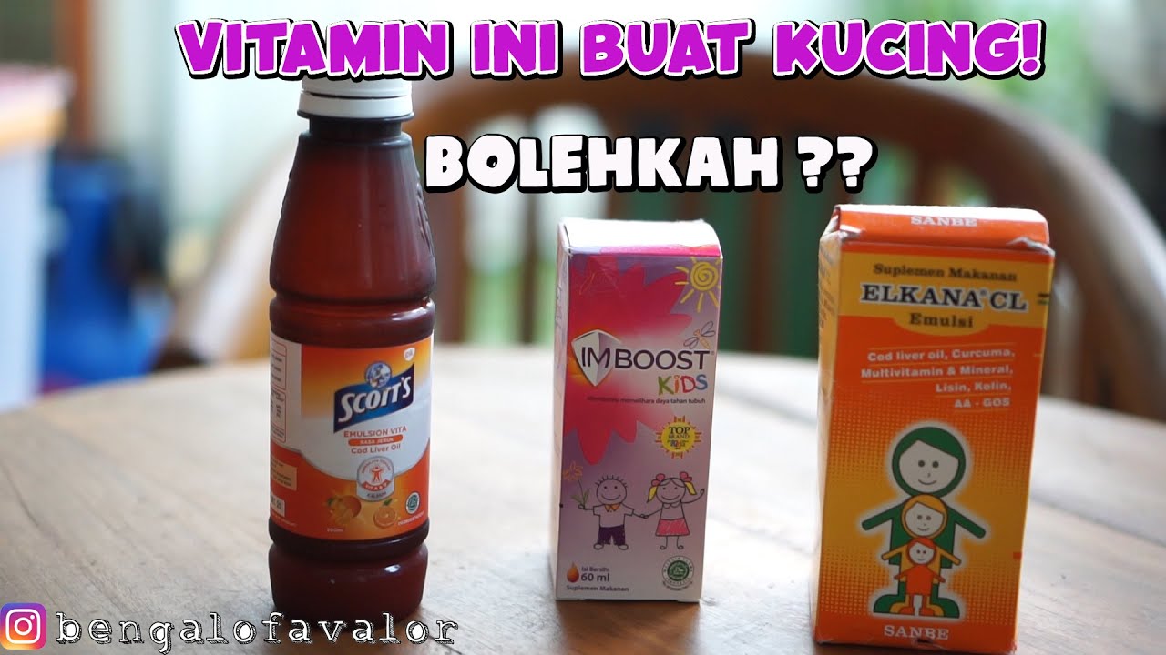 VITAMIN ANAK BUAT KUCING! BOLEH?
