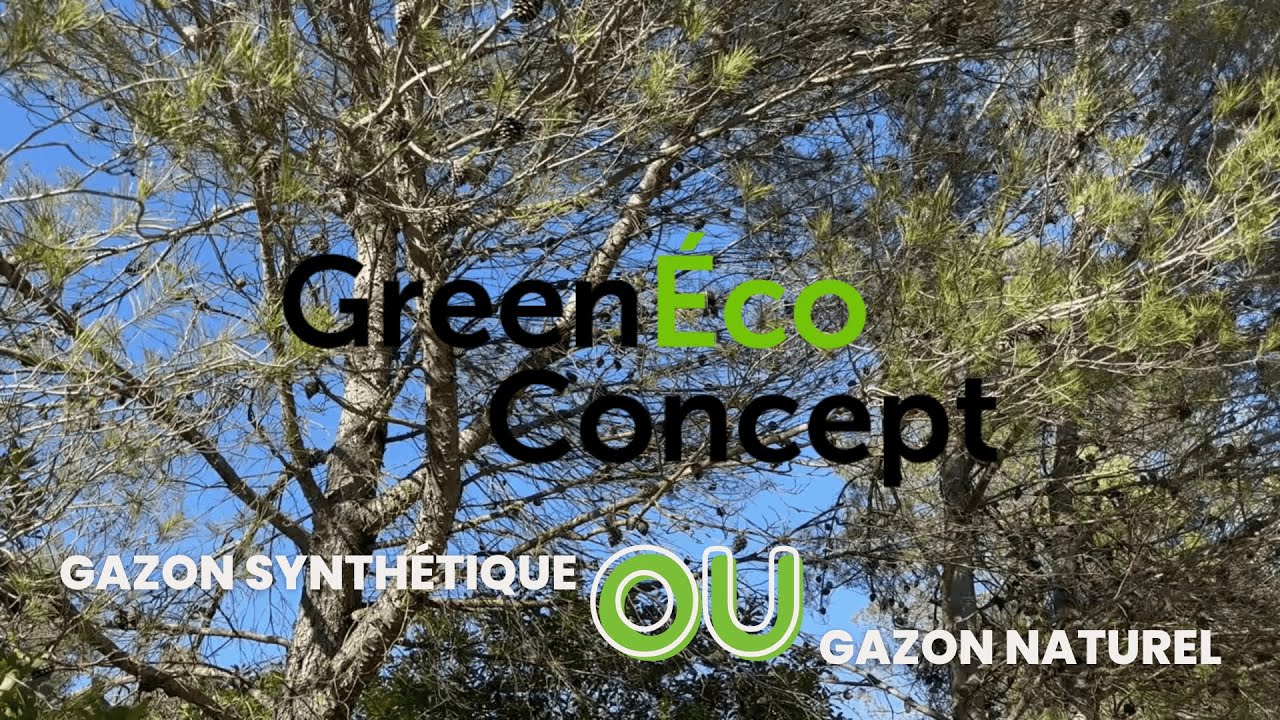Différence entre un gazon synthétique et naturel