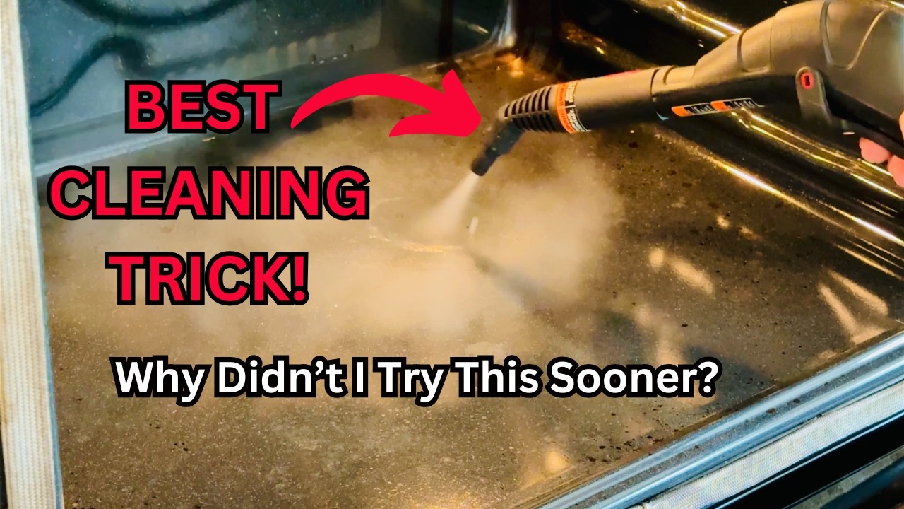 #1 SPRING CLEANING HACK to Save Time & Money! 💨 Wagner Steam Clean 101