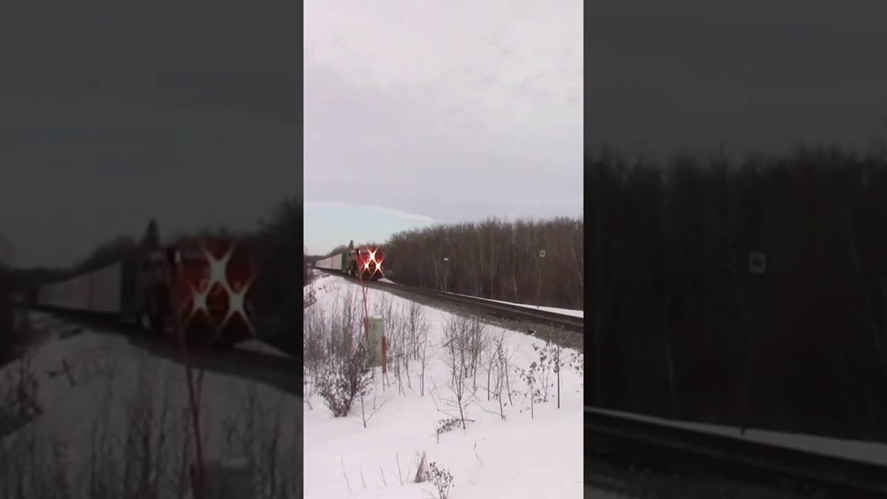 A CN ET44AC with an echoey K5HL. #shorts #train