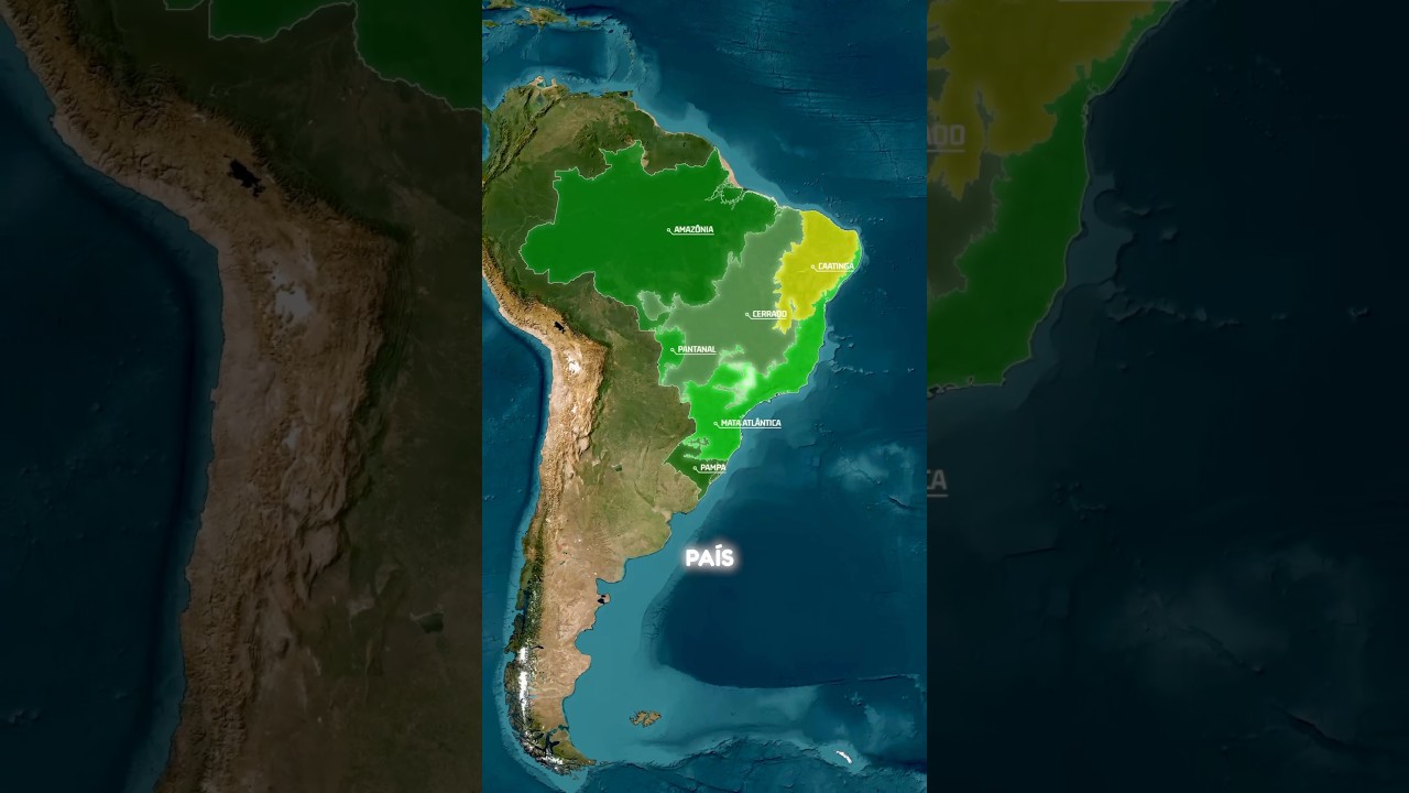A import&acirc;ncia do Cerrado Brasileiro e seus Principais Parques Naturais.#cerrado #biomas #queimadas
