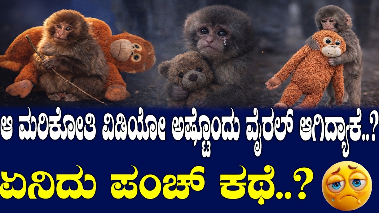 ಆ ಮರಿಕೋತಿ ವಿಡಿಯೋ ಅಷ್ಟೊಂದು ವೈರಲ್ ಆಗಿದ್ಯಾಕೆ..? ಏನಿದು ಪಂಚ್ ಕಥೆ..?