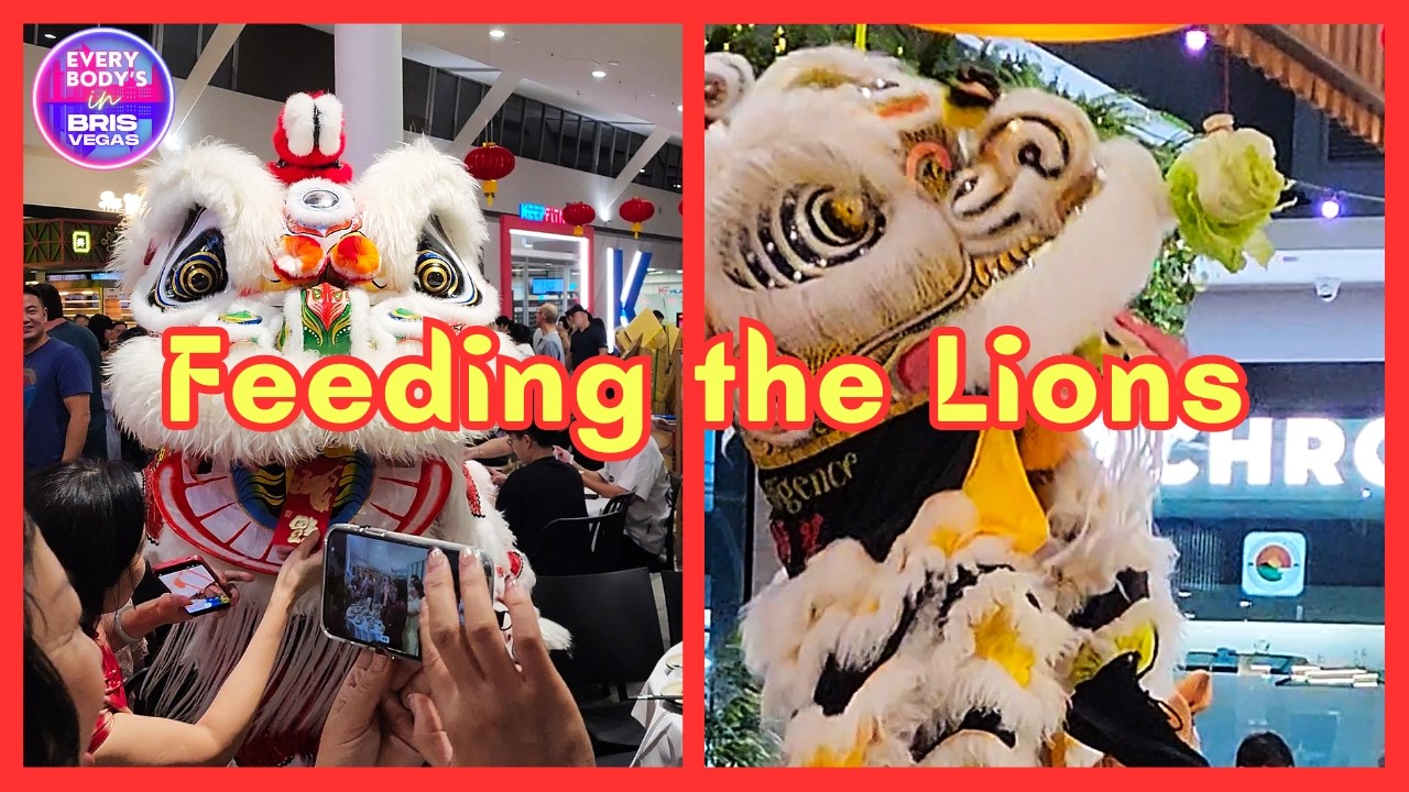 Lion Dancers at Calamvale・Brisbane Suburban Mall・Year of the Fire Horse 2026