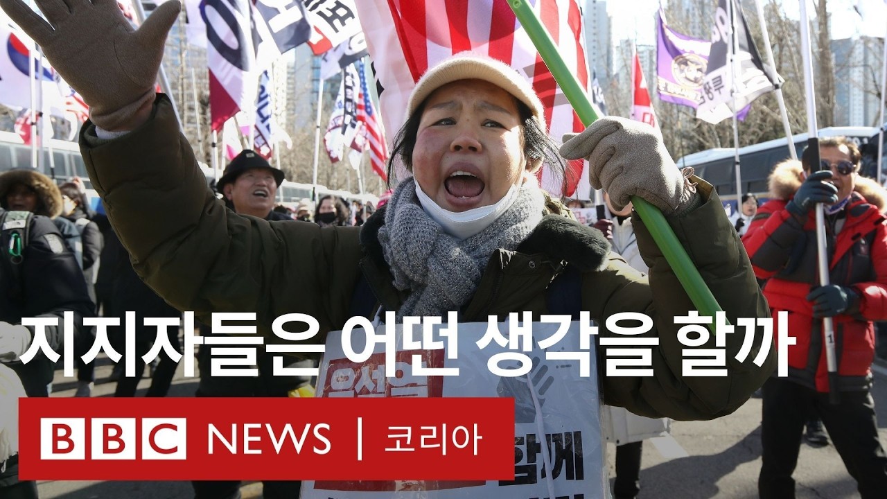 울분, 분노, 참담...윤 대통령 체포 후 지지자들의 반응 - BBC News 코리아