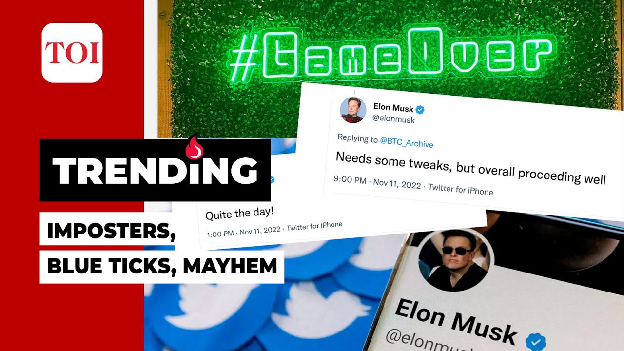 Elon Musk's Twitter 'BLUE TICK' plan SUSPENDED as fake accounts takeover causing losses