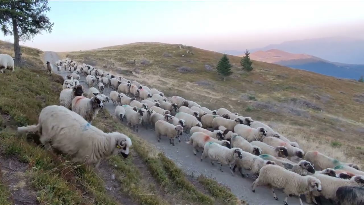 România pitorească.