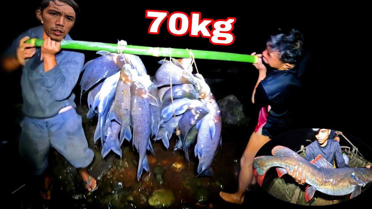 Rừng NHIỀU Cá Lớn | Cá Rừng Chen Nhau Hàng Trăm Con Trong Hốc Đá Dưới Đáy Sông ( phần 1)