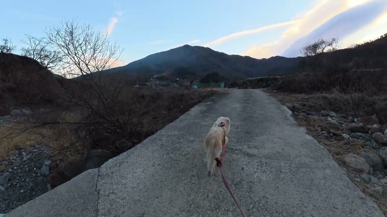 26 0130 도촌마을