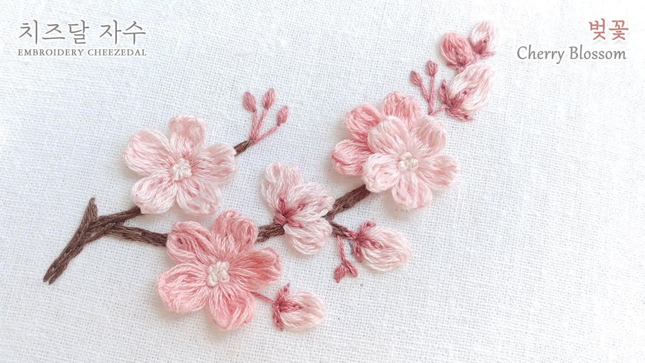 [CC] 벚꽃  cherry blossom flower,