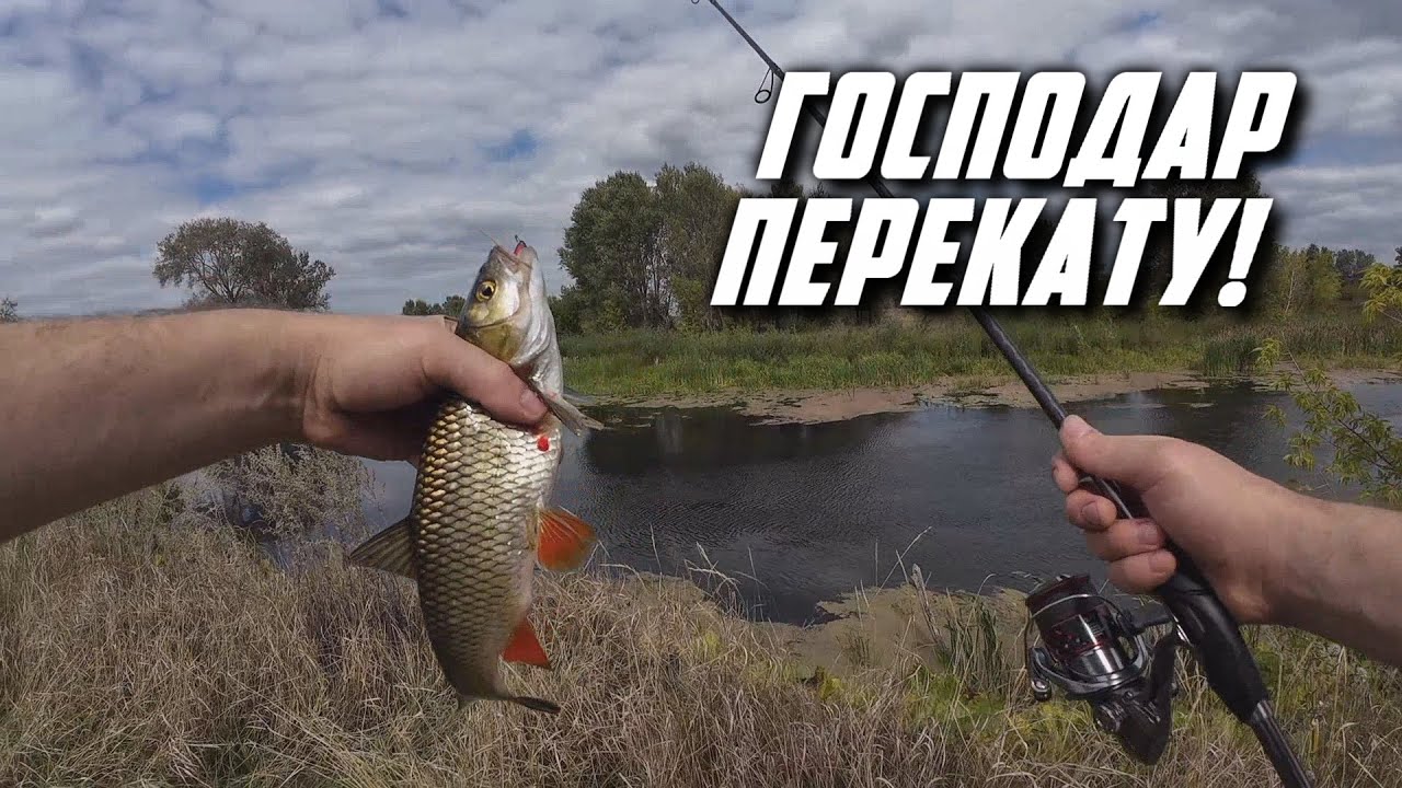 ‼️ГОЛОВЕНЬ на початку ОСЕНІ📌 КОЛИВАЛКАМИ по ТРАВІ!🔑 р.ПСЕЛ