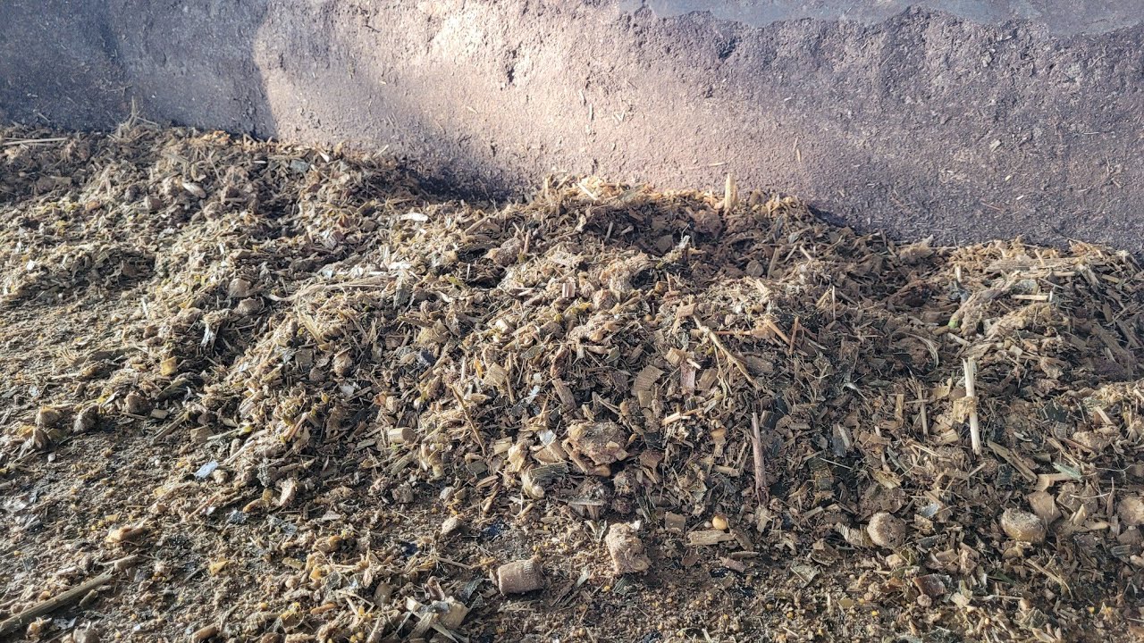 Feeding Dairy Cows:Wet or Dry,Moisture in TMR, Feeding Sodium Bicarbonate to Milking Cows