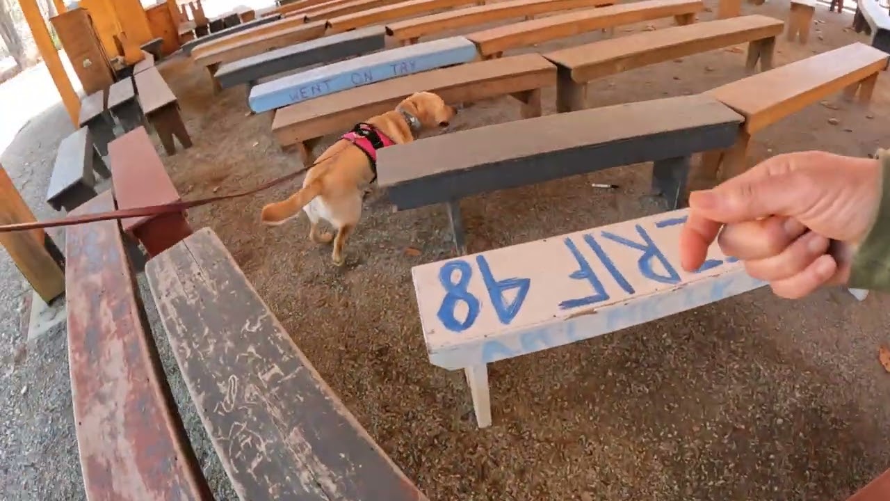 041825 Bleachers