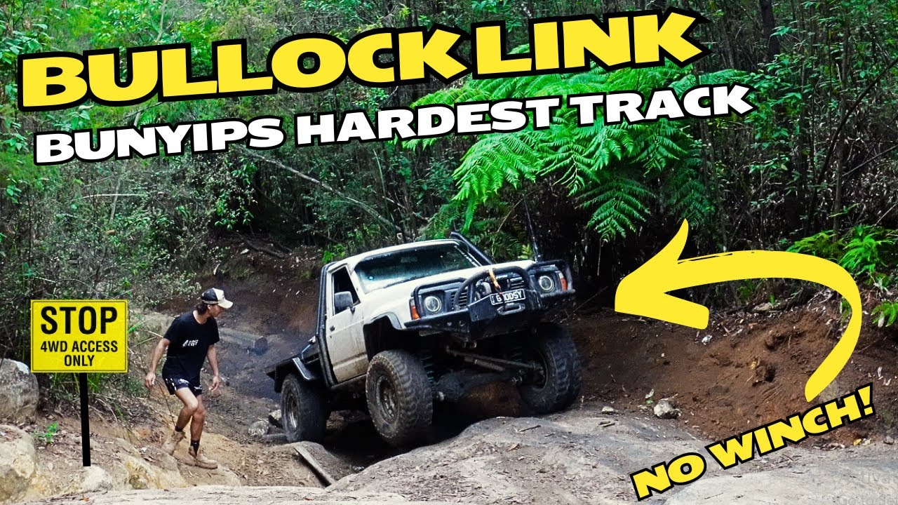 HARD WHEELING in BUNYIP STATE FOREST