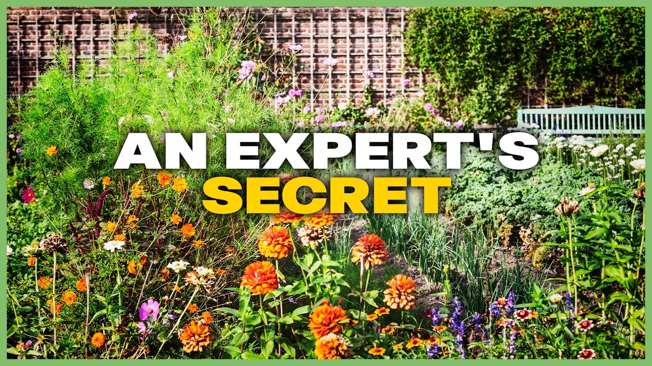 Советы экспертов по поддержанию здоровья вашего приусадебного участка КРУГЛЫЙ ГОД!