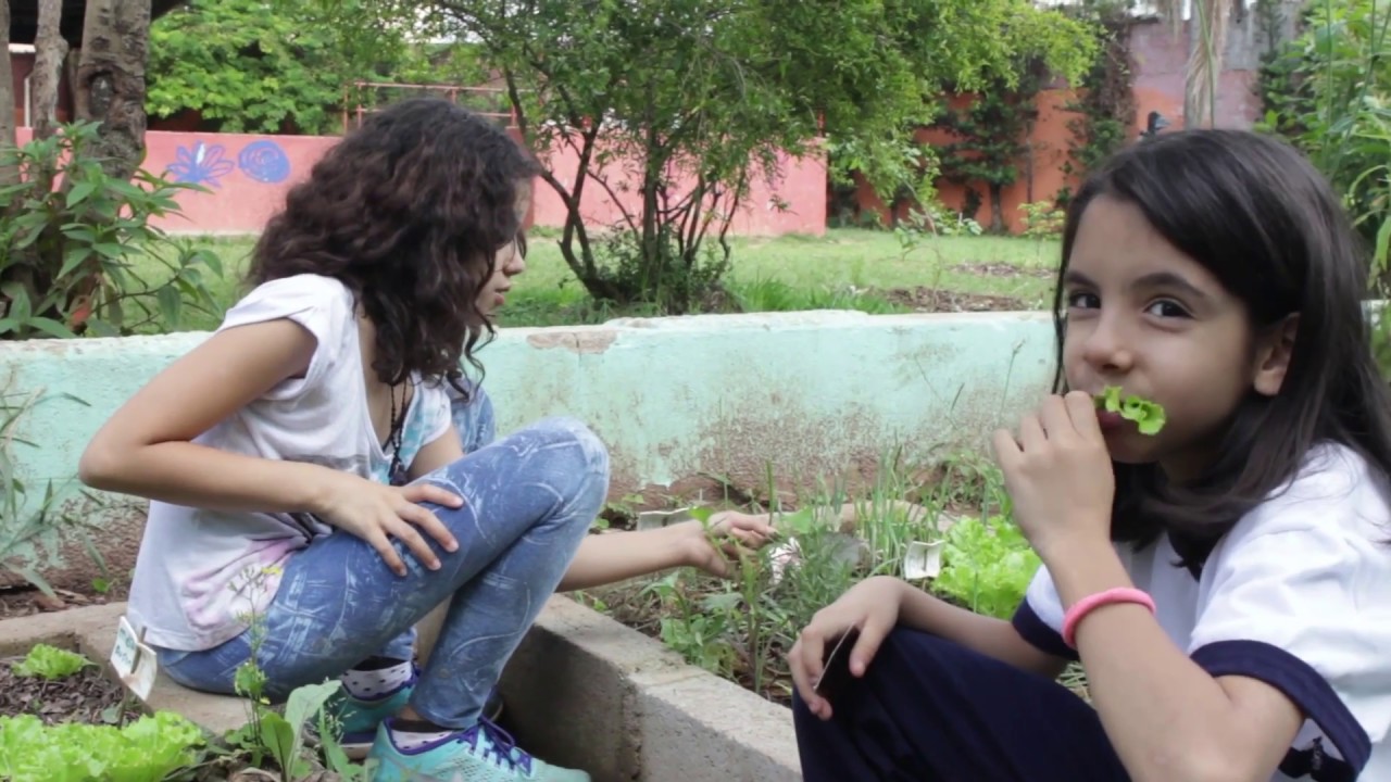Viva Agroecologia na EMEF Desembargador Amorim Lima