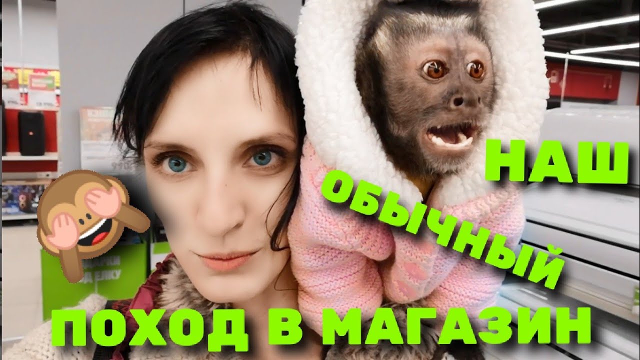 Обычный поход в магазин.