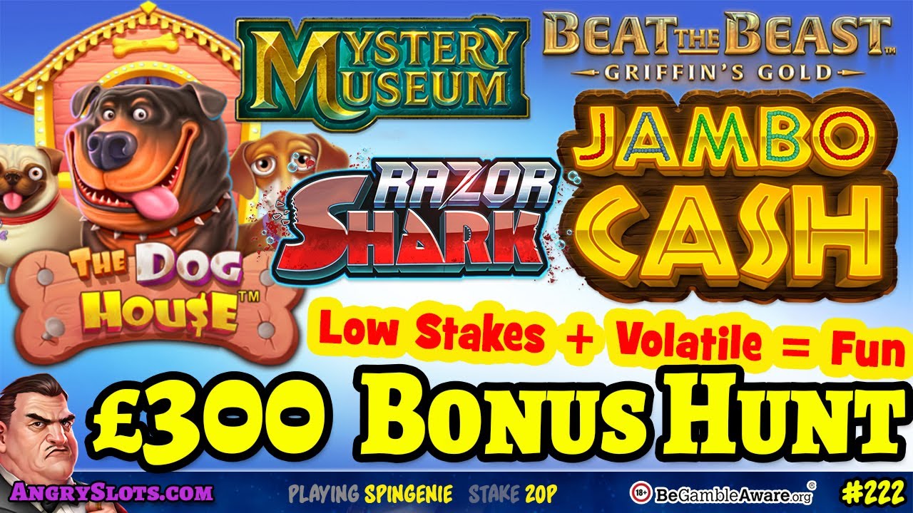 Low Stakes Volatile Slots BONUS HUNT - 10X Rewind, Starlight Princess, Fruit Party 2 & more.