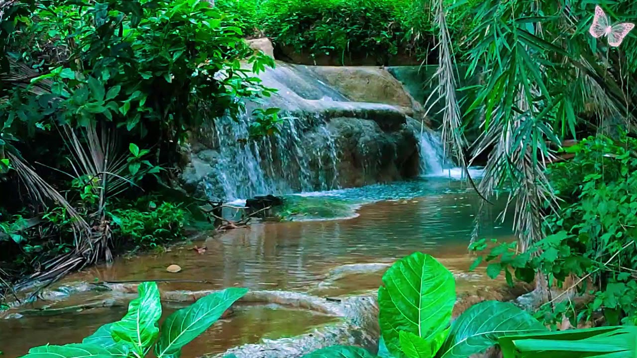 Relaxing Music For Stress Relief, Anxiety and Depressive States🌲 Heal Mind, Body and Soul Calm 98