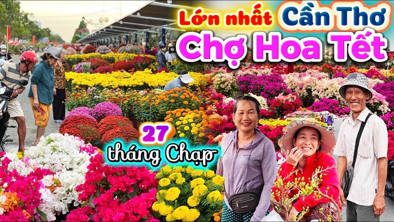 1171. Cần Thơ - Bùng nổ chợ hoa Tết Cần Thơ với rất nhiều hoa đẹp giá rẻ ở quảng trường Tây Nam Bộ