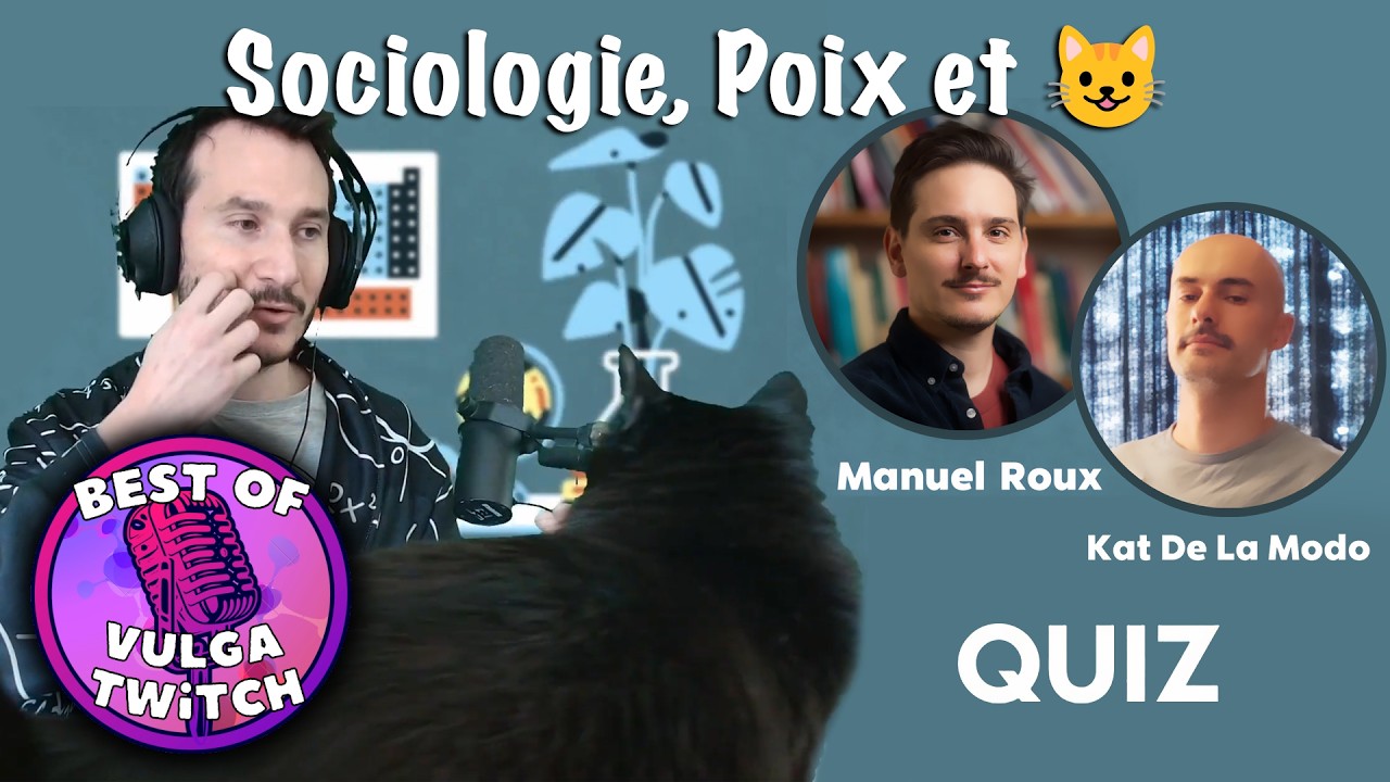 ANNONCE de Robin, la POIX et un Maou maou - @ToutSeComprendReplay